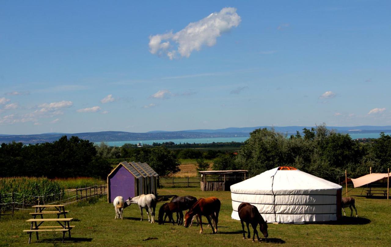 Dharma Horse Shelter Bungalows & Farmping Siófok Extérieur photo